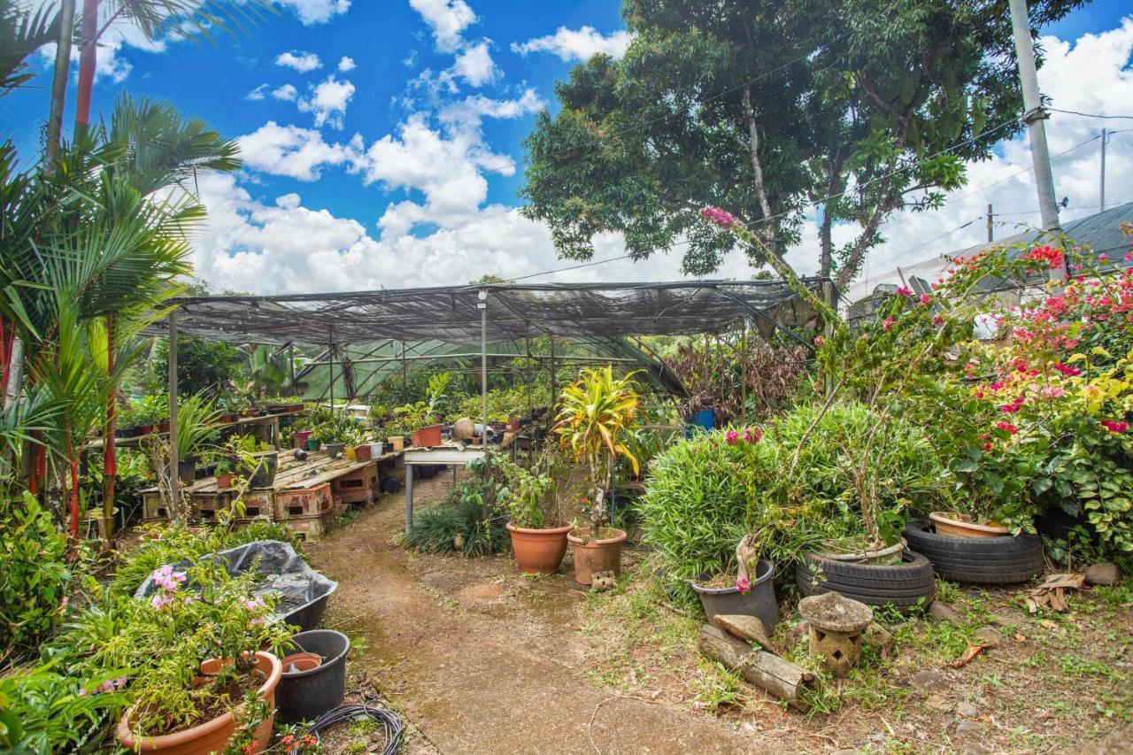 Village Pierre & Vacances Sainte Luce Εξωτερικό φωτογραφία